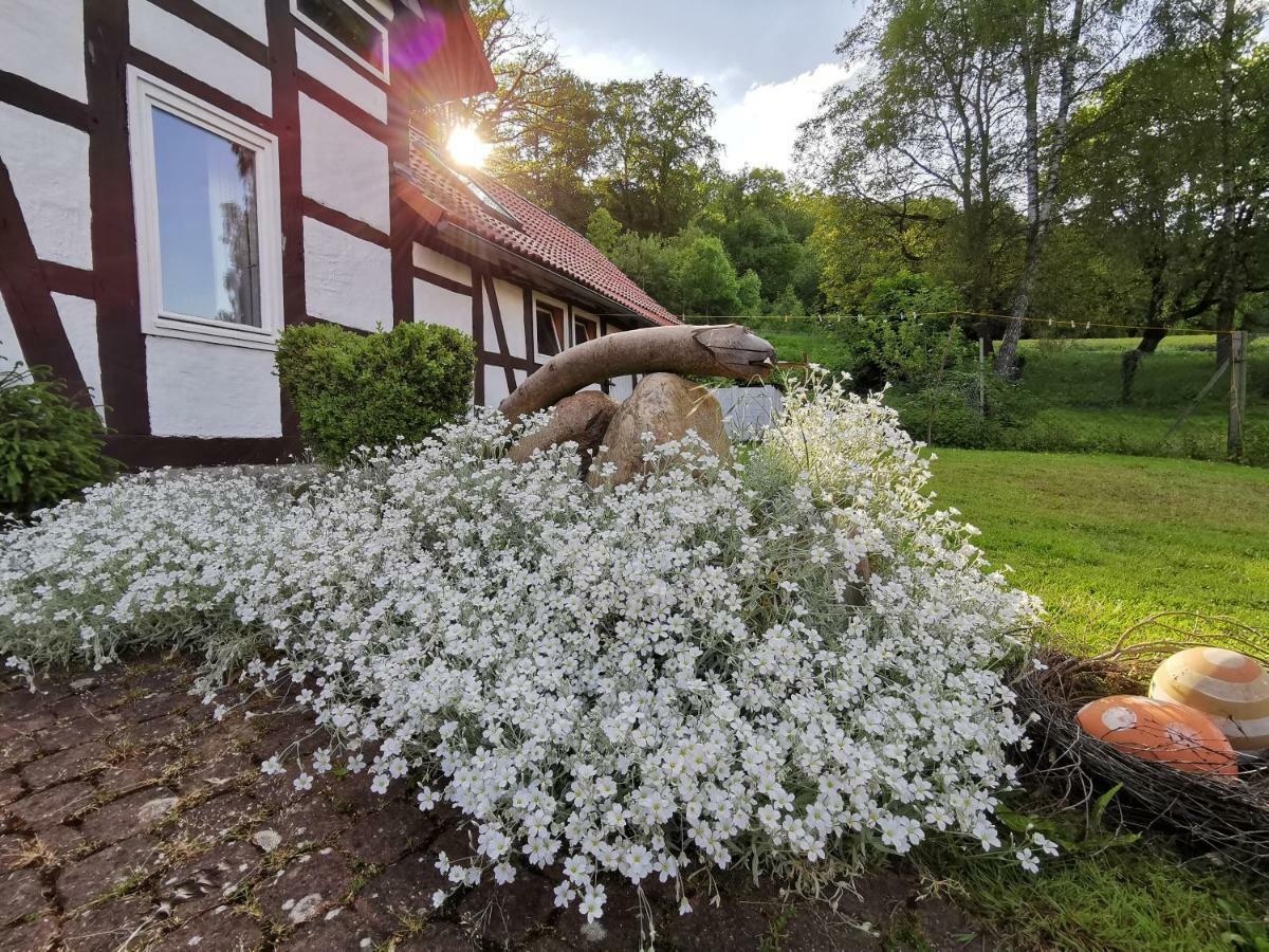 Ferienhof Ehlers Hulsede Exteriör bild