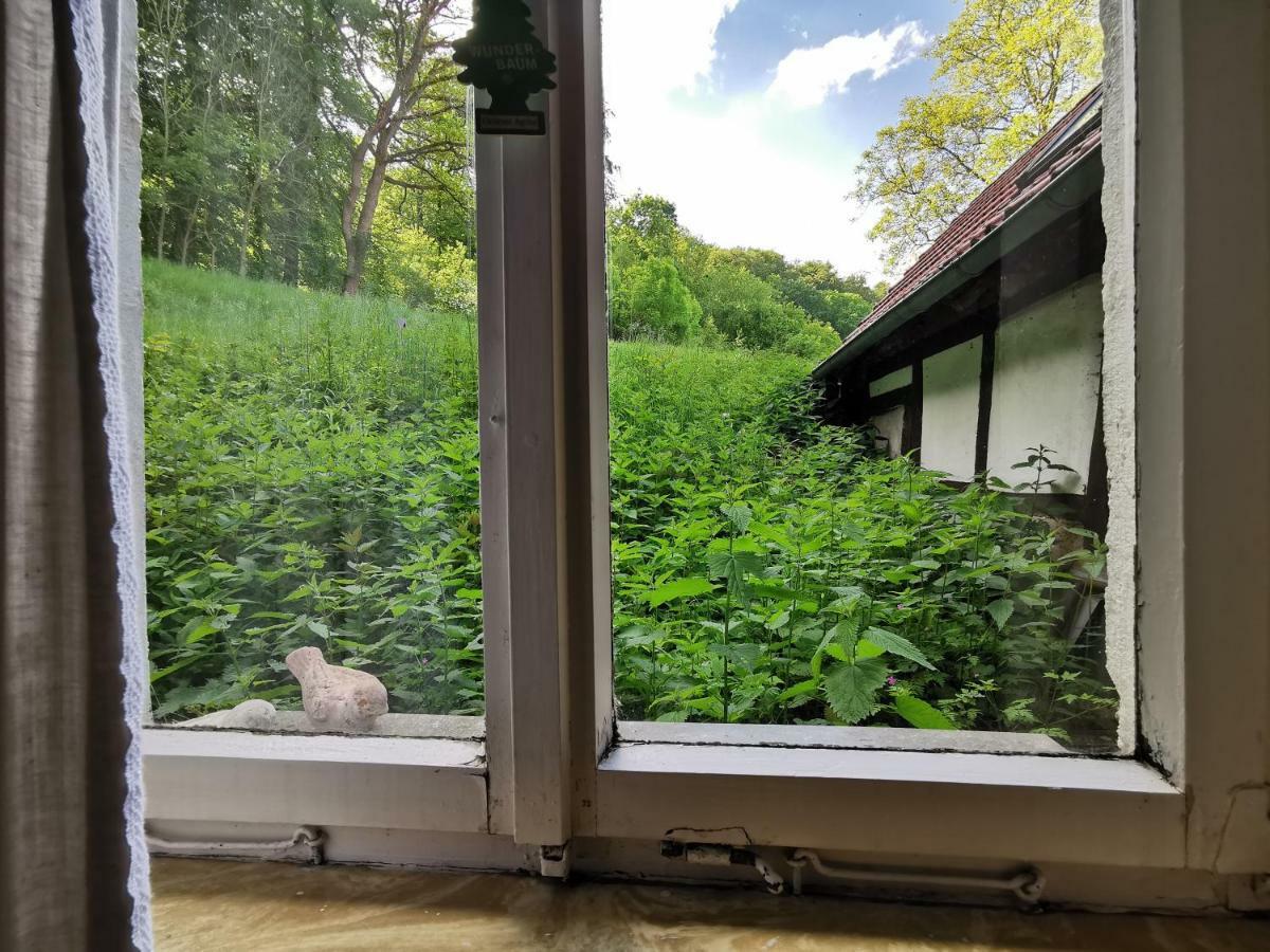Ferienhof Ehlers Hulsede Exteriör bild
