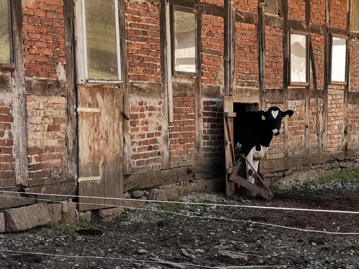 Ferienhof Ehlers Hulsede Exteriör bild